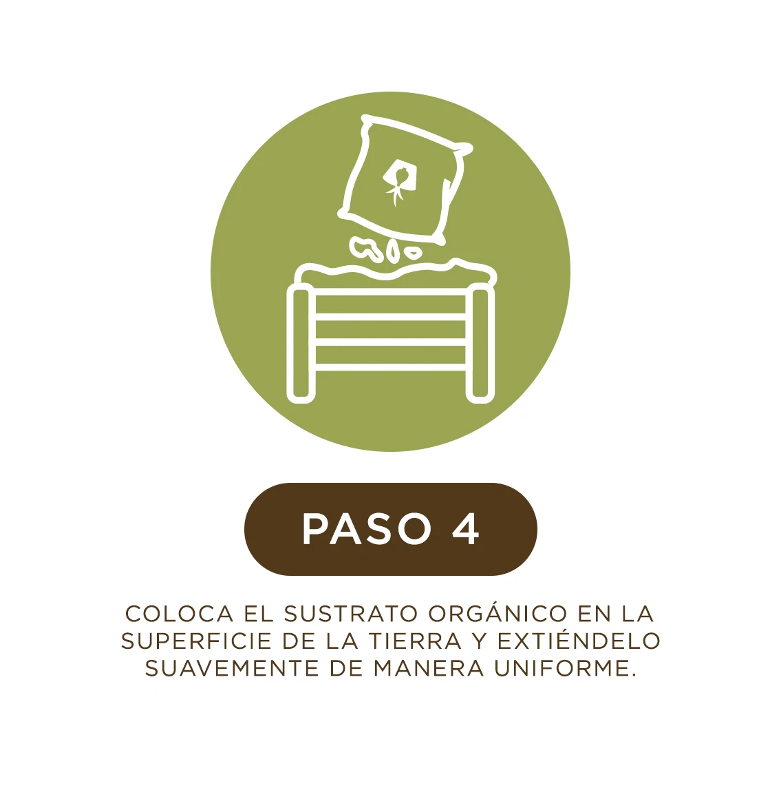 ICONO4_CARD